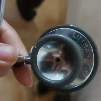 گوشی پزشکی لیتمن اصل.