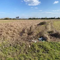 7هزارمتر-زمین-زراعی-سنتی-منطقه-ازاد-زیباکنار