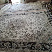 فروش فرش|فرش|لردگان, |دیوار