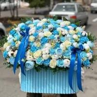 جام گل مصنوعی، باکس گل مصنوعی