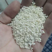 برنج نیمدانه و سر لاشه محلی