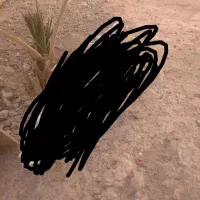 مرغ گلین|حیوانات مزرعه|اشکذر, |دیوار