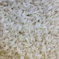 برنج عنبر امسال درجه یک تمیز لیزر شده|خوردنی و آشامیدنی|کارون, |دیوار