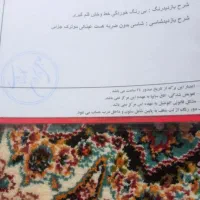 پراید 88بیرنگ|خودرو سواری و وانت|سنندج, |دیوار