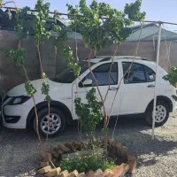 کوییک