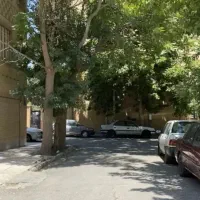 100متر-مهرشهرمیلاد4-گلها-کم-واحدی