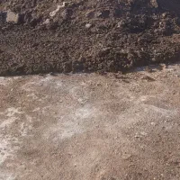 کود مرغی خشک قفسی