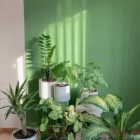 خدمات باغبانی و گل و گیاه