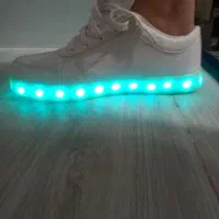 کفش|کیف، کفش، کمربند|زرند, |دیوار