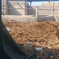 فروش کود گاوی خوب