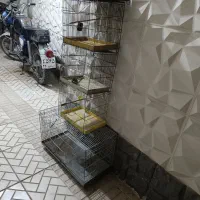 5تا قفس پرنده