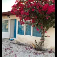 استخدام نگهبان