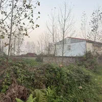 زمین-300-متری-لاهیجان-طرح-هادی-بر-آسفالت