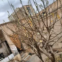 دو باب منزل قدیمی