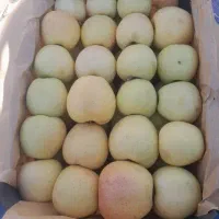 سیب قرمز و زرد درجه یک 1فروش عمده -سردخانه ارومیه|خوردنی و آشامیدنی|ملارد, |دیوار