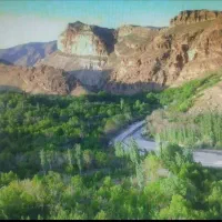 فروش-باغ-میوه