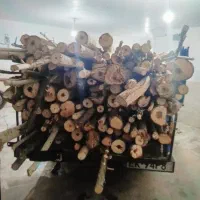 بریدن درخت خریدار چوب خشک و تر(خرید فقط نقد)