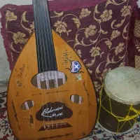 عود بحرینی بدون خط وخش سالم