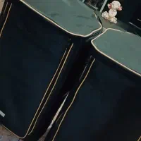 باند rcf915پسیو|سیستم صوتی خانگی|زاهدان, |دیوار