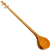 سه تار مهدی
