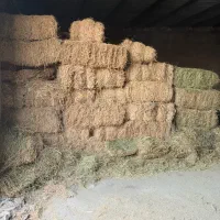 یونجه و علوفه دام|لوازم جانبی حیوانات|ورامین, خیر آباد|دیوار