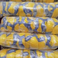 توپ قانونی جام جهانی|ورزش‌های توپی|سنندج, |دیوار