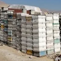 کندو و طبق و قاب و...