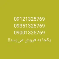 کد یک در حد نو