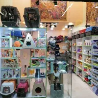 پت شاپ در لوتوس مال