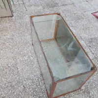 شیشه  آکواریوم|ماهی|رشت, فلسطین|دیوار