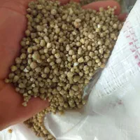 کود شیمیایی دی امونیم ۴۶ درصد گندم