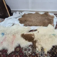 پادری دست ساز
