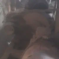 فروش خط کامل اکسیدور