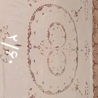 رو تختی|سرویس روتختی|ورامین, ورامین|دیوار