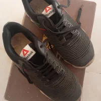 کفش|کیف، کفش، کمربند|شیراز, شهرک آرین|دیوار