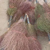 جارومحلی