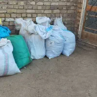 کود گوسفندی مناسب گلخانه باغچه تمیز خشک