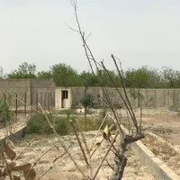 باغچه داخل مجموعه چهاردیواری|فروش زمین و ملک کلنگی|رباطکریم, انجم آباد|دیوار