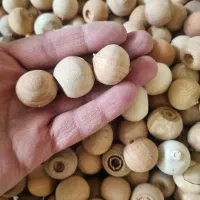 مهره چوبی و گوی|اسباببازی|تهران, نبی اکرم|دیوار