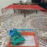 قفس پرنده بزرگ