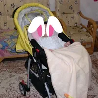 کالسکه|کالسکه و لوازم جانبی|رشت, بلوار گیلان|دیوار