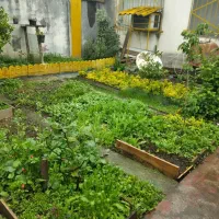 فروش ویلا شهرکی واقع در چابکسر ،ساحلی ۳۰۰ متری|فروش خانه و ویلا|چابکسر, |دیوار