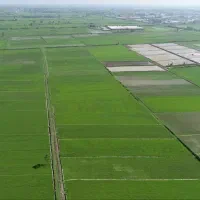 فروش زمین کشاورزی|اجارهٔ دفتر صنعتی، کشاورزی، تجاری|شفت, |دیوار