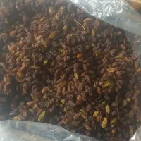 کشمش،گله،افتابی