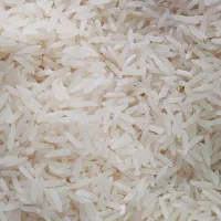 برنج فجر سوزنی