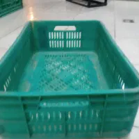 سبد|ظروف نگهدارنده، پلاستیکی، یکبارمصرف|کرمان, |دیوار