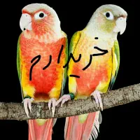 گرینچیک دستی و سرلاک