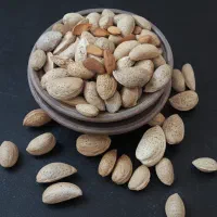 بادام سنگی ایرانی مخلوط خشکبار قدوس