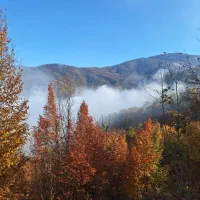 زمین-موقعیت-عالی