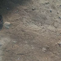 زمین نارجو شفته شده